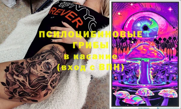 шишки Беломорск